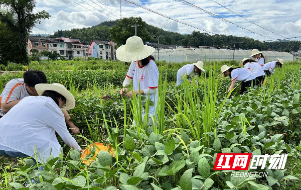 微信截图_20220719183011.jpg yl6809永利